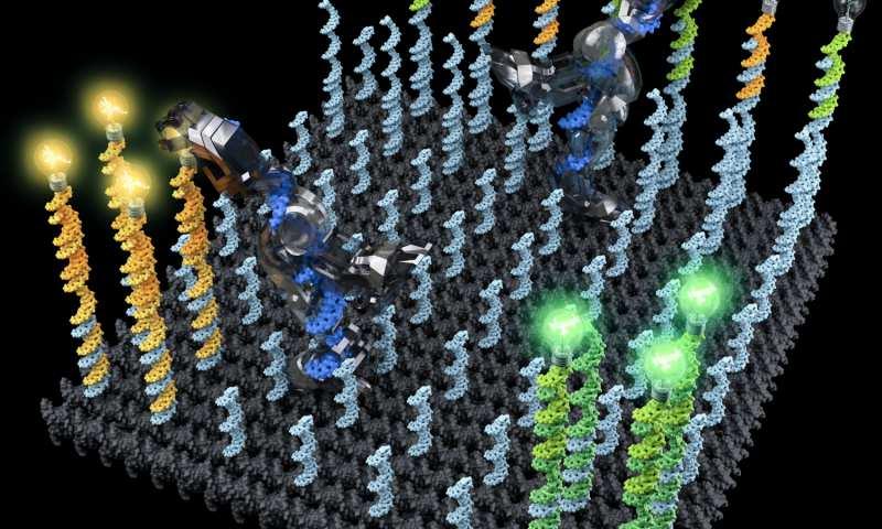 ADNA robot is programmed to pick up and sort molecules into predefined regions