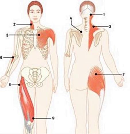 6 O exame articular é importante na busca de edema, limitações de movimento e crepitações, que podem indicar alterações inflamatórias ou degenerativas das articulações.