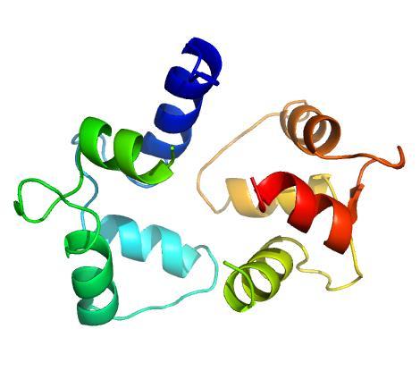 1) A B Figura 1: (A) Proteína Calmodulina (PDB ID: 1cll) no estado aberto; (B) Proteína Calmodulina (PDB ID: 1ctr) no estado fechado.