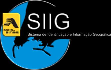 2010/2011 O SIIG enquadrou-se num projeto de maior dimensão designado por SISTEMAS OPERACIONAIS DE SUPERVISÃO E SEGURANÇA O SIIG é um sistema de apoio à gestão portuária, uma ferramenta transversal a