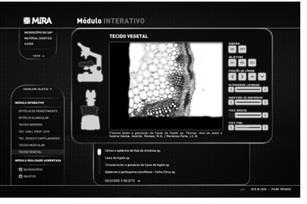 qualquer hora e local, a equipamentos que fazem parte do cotidiano do pesquisador da área, dentre estes, o microscópio9.