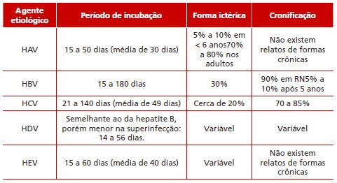 Características da hepatites