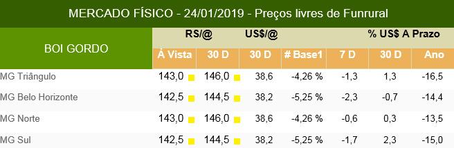 InfoCarne Nro 182 25 de Janeiro de 2019 Mercado Cotações BOI GORDO Fonte: Scot Consultoria -