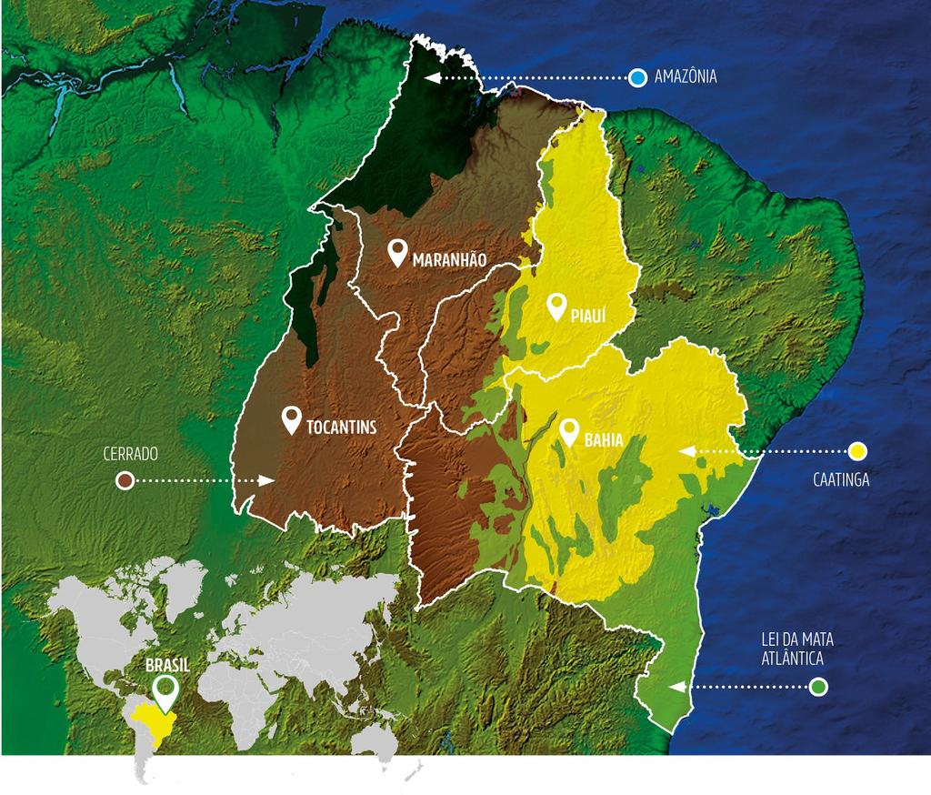 Reserva Legal O que é Reserva Legal?