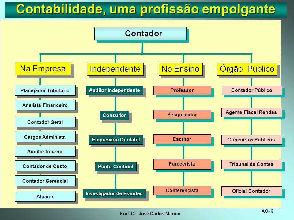 Figura 1: Contabilidade, uma profissão empolgante. Fonte: Marion (2007).