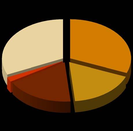 Pública 2% Outros 25% Sociedades não financeiras 32%