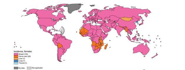 O câncer de mama é o câncer mais frequentemente diagnosticado na maioria dos países (154 países) No perfil