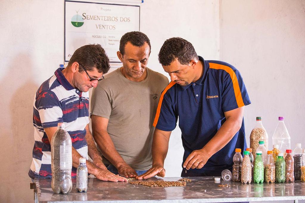 Reunião do Grupo de Sementeiros Campo Formoso BA A iniciativa também atua na capacitação dos agricultores