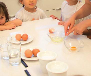 Palavras-chave: Amido, gelatinização, ponto de fusão 5 DO GRÃO AO PÃO Acompanhar os passos que levam à produção do pão, e compreender os processos