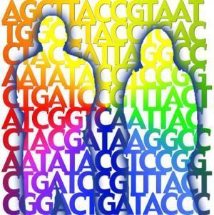Sequênciação do genoma humano Listagem dos ~22000 genes codificantes Somos 99.