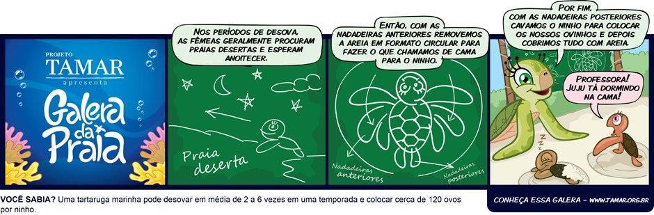 27 Figura 6 - Formação da cama do ninho Fonte: Facebook Projeto Tamar, 7 Sabe-se que as tartarugas marinhas percorrem o planeta para alimentação, reprodução e desova, são animais pré-históricos que