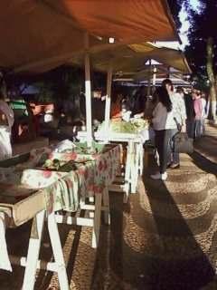 FOTO 05: Verduras sendo comercializadas na feira do Município. FONTE: Arquivo da pesquisadora.