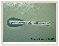 17 Figura 2 - E-test Redução 3 diluições da MIC da associação com β-lactâmico. Fonte: http://www.anvisa.gov.br/servicosaude/controle/rede_rm/cursos/boas_praticas/modulo5/gram_nega tivos5a.htm 3.1.4 Método Automatizado É utilizada a técnica de micro diluição por painéis automáticos, onde ocorre a exposição das bactérias à ceftazidime ou cefotaxima sozinhos ou combinados a ácido clavulânico.