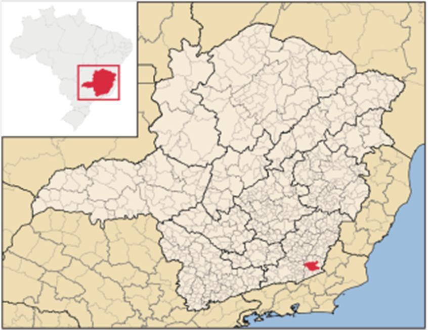 LOCALIZAÇÃO E TRANSPORTES Leopoldina é um município brasileiro do Estado de Minas Gerais. Pertence à Zona da Mata Mineira e Microrregião de Cataguases.