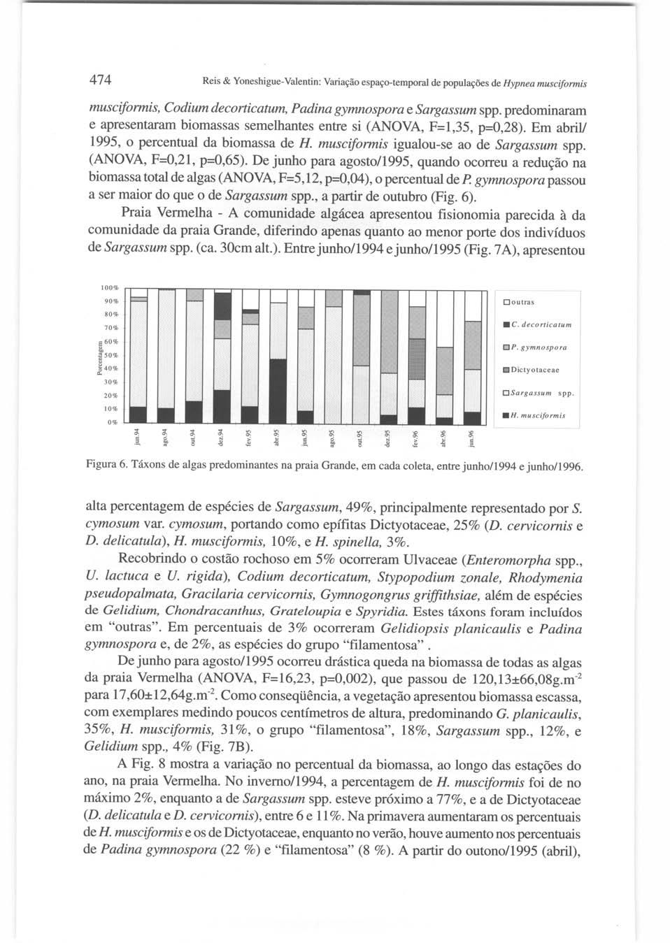 474 Reis & Yoneshigue-Valentin: Variação espaço-temporal de populações de Hypnea musciformis musciformis, Codium decorticatum, Padina gymnospora e Sargassum spp.