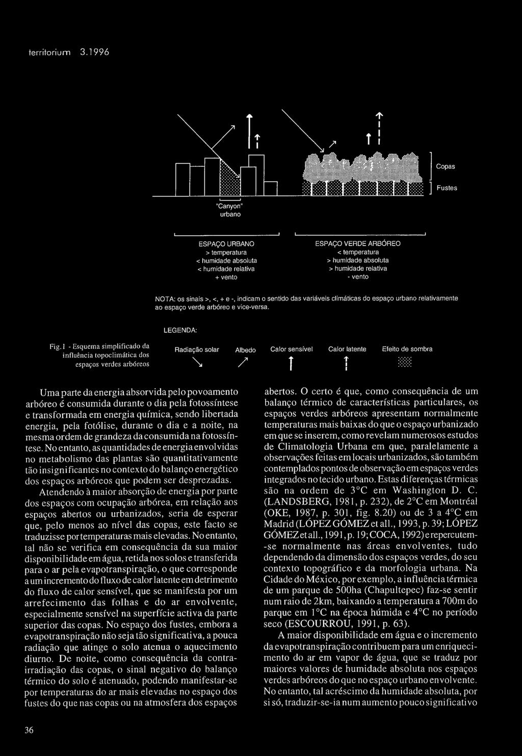 ] Copas ] Fustes "Canyon" urbano SPAÇO URBANO > temperatura < humidade absoluta < humidade relativa +vento SPAÇO VRD ARBÓRO <temperatura > hum idade absoluta > humidade relativa -vento NOTA: os