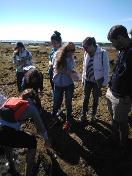 4. AÇÕES DE DIVULGAÇÃO E SENSIBILIZAÇÃO Durante o ano 2017 o Gabinete de Educação e Sensibilização Ambiental da Cascais Ambiente, no âmbito do seu programa escolar, realizou 26 ações de