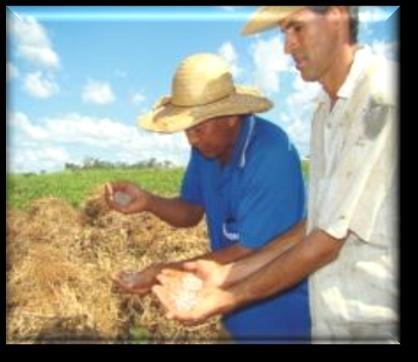 Ouro Vida Produtor Rural Modalidades de Seguros Rurais Seguro de Vida Este seguro é destinado ao produtor rural, devedor de