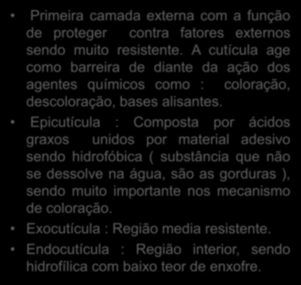 Epicutícula : Composta por ácidos graxos unidos por material adesivo sendo hidrofóbica (