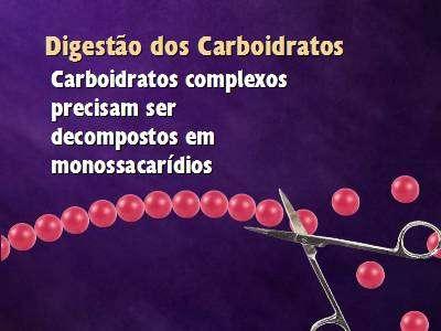 ! Digestão de carboidratos Na comida se encontram principalmente amidos, açúcar de mesa e glicogênio (na carne) estes são compostos para serem absorvidos