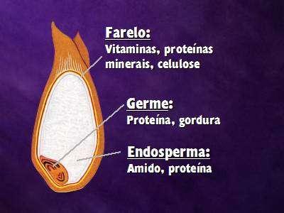 fibras. A camada externa do grão é farelo. Consiste de vitaminas importantes (B 1, B 6.