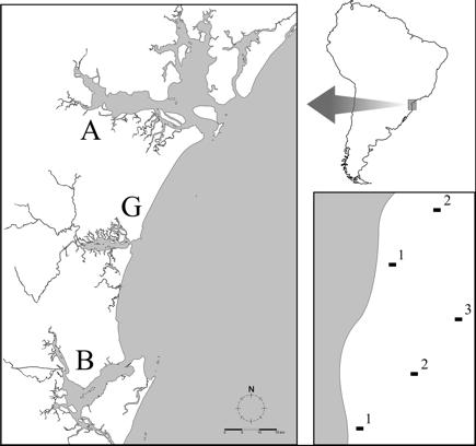Figure 2-1: Map of Brazil, showing the location of the studied mangroves in the subtropical coastline: Antonina Bay (A), Guaratuba Bay (G) and Babitonga Bay (B).