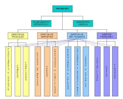 nos objetivos do departamento, dando menos ênfase aos objetivos e estratégias globais da empresa 1.