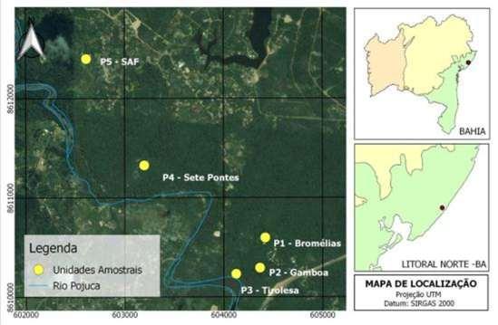 21 Figura 1 - Mapa de localização do Litoral Norte da Bahia e unidades amostrais na Reserva Sapiranga. Legenda: Bioma: Mata Atlântica (cor verde), Caatinga (cor amarelo) e Cerrado (cor laranja).