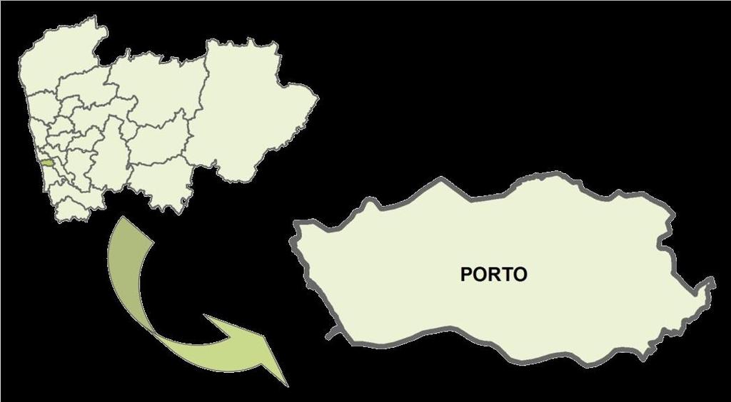 Os Perfis Locais de Saúde foram desenvolvidos no âmbito dos Observatórios Regionais de Saúde dos Departamentos de Saúde Pública das cinco Administrações