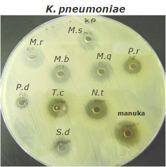 Resultados e Discussão 56 E. coli coli K. pneumoniae pneumoniae M.r M.