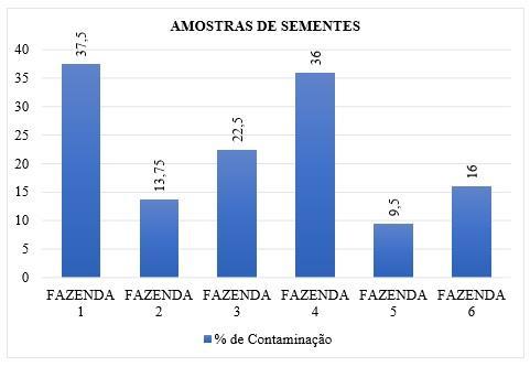 necróticas circulares, deprimidas, de coloração pardo-escura, denotando assim, a presença do referido patógeno.