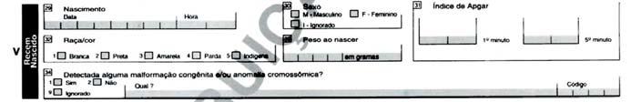 BLOCO V - Recém-nascido: Destina-se à anotação das características do recém-nascido.