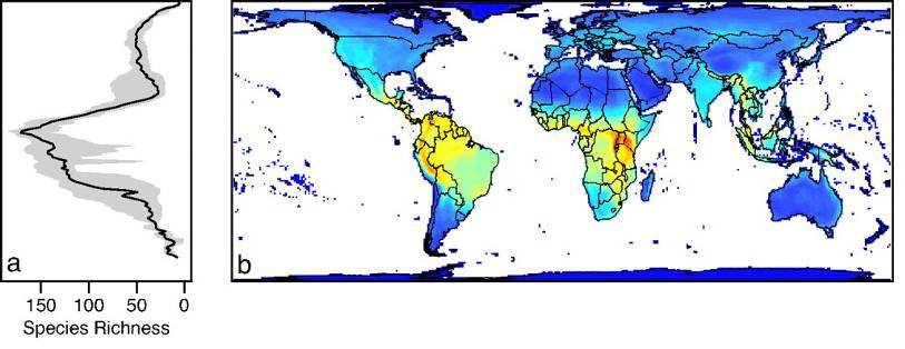Padrões de riqueza de espécies Hápadrões espaciais de riqueza de espécies?