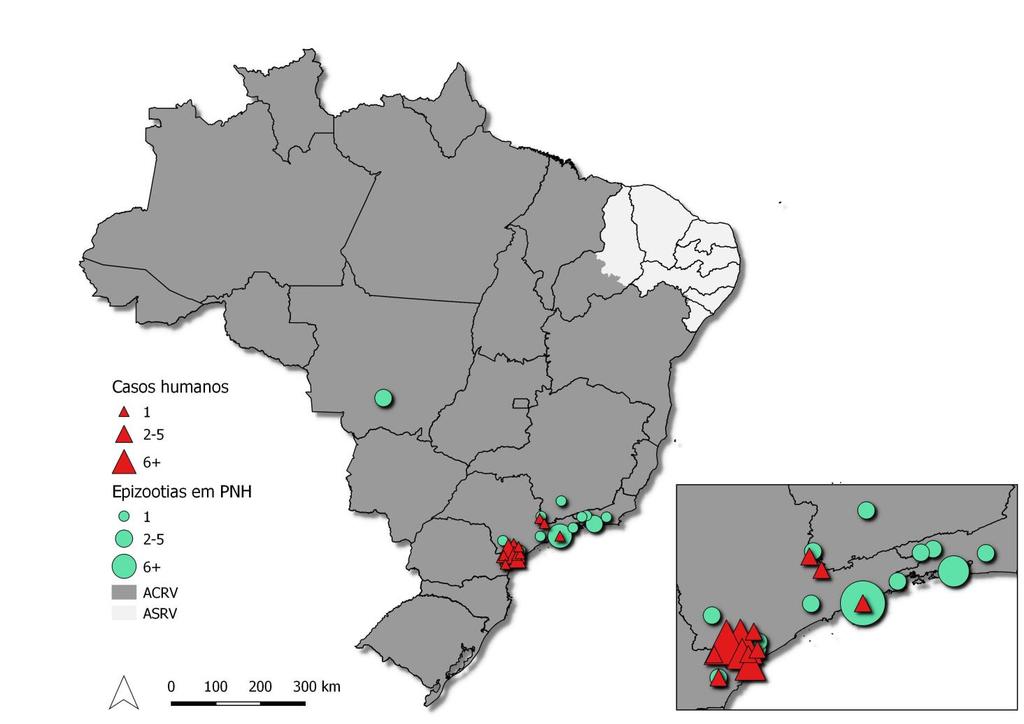 Distribuição dos casos humanos e epizootias em PNH confirmados para FA durante o período de monitoramento 2018/2019 (jul/18 a jun/19), por município do local provável de infecção ou de ocorrência,