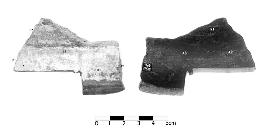 Mirian Carbonera Carlos R. Appoloni Gustavo H. dos Santos P1, P2 e P3 (Fig. 3). Nessa amostra foi possível identificar os elementos relacionados na Tabela 2. A Fig.