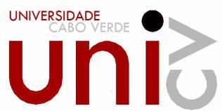 DECM Departamento de Engenharias e Ciências do Mar Ribeira de Julião Unidade Orgânica Escola de Negócios e Governação Curso Relações Públicas e Secretariado Executivo Ano Lectivo 2012/2013 Unidade