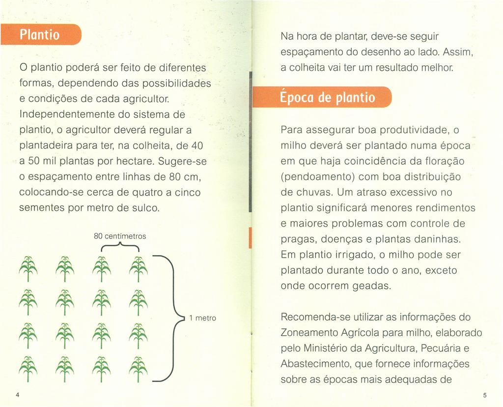 Plantio o plantio poderá ser feito de diferentes formas, dependendo das possibilidades e condições de cada agricultor.