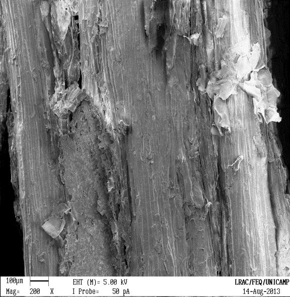 finalidade evidenciar a topografia superficial das amostras, tamanho e disposição das fibras.