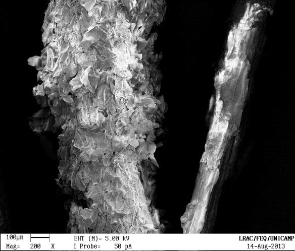 (c) Figura 5.2 - Micrografias do bagaço de cana-de-açúcar antes da adsorção em escala (a) 50X, (b) 200X, (c) 200X e (d) 2.00KX. Outras imagens podem se observadas no Apêndice B.