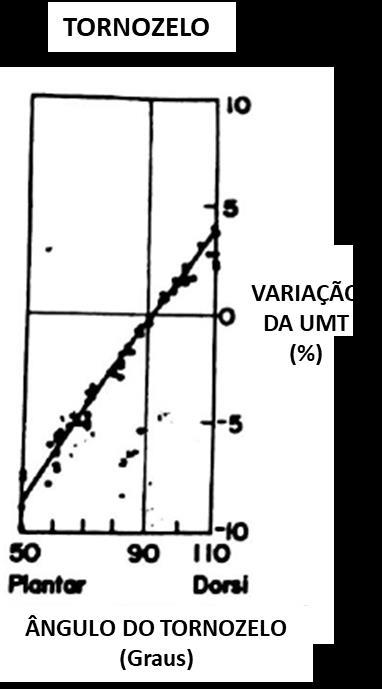 29 Figura 2-13 - Modelo do experimento para medição da união