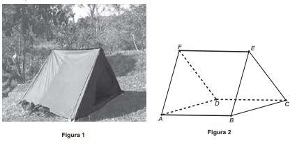 Questão 8 (Enem 2ª aplicação 2016) Um grupo de escoteiros mirins, numa atividade no parque da cidade onde moram, montou uma barraca conforme a foto da Figura 1.