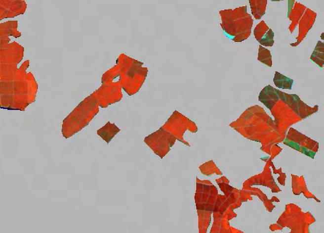 Figura 2.4 ilustra uma imagem TM/Landsat-5 do mês de março de 2008 da região de Adolfo-SP, composição 4(R)5(G)3(B), com áreas de cana-de-açúcar e outros usos do solo (2.