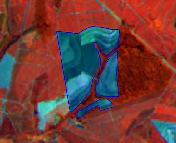 - Seqüência temporal de imagens TM/Lansat-5, composição colorida 4(R)5(G)3(B), ilustrando a identificação de área de