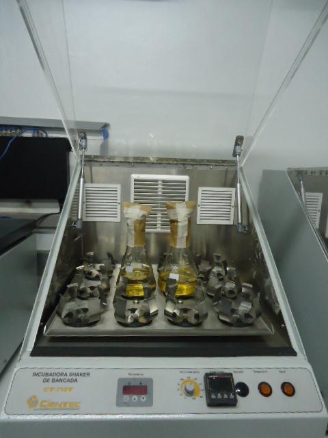 69 processo de centrifugação, para logo ser lavado três vezes com água deionizada nas mesmas condições de centrifugação.