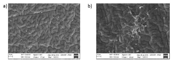 substrato de poliuretano com revestimento de DLC, obtida através de Microscopia Eletrônica de Varredura.