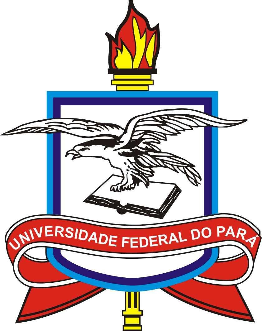 SERVIÇO PÚBLICO FEDERAL UNIVERSIDADE FEDERAL DO PARÁ INSTITUTO DE CIÊNCIAS EXATAS E NATURAIS CURSO DE MESTRADO EM MATEMÁTICA E ESTATÍSTICA Espaços de Lebesgue-Sobolev Generalizados e