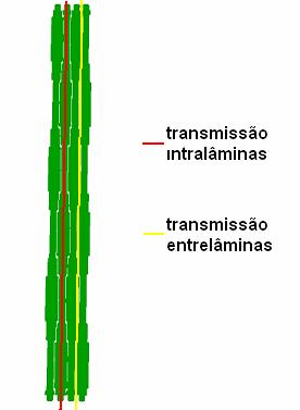 1 Transmissão e Efeito Lingüeta-Vão (Tongue and Groove) do m3 A transmissão do mmlc pode ser dividida em duas componentes, a transmissão