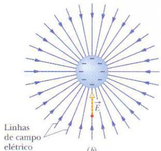 Linhas de Campo Elétrico As linhas de campo elétrico são linhas imaginárias