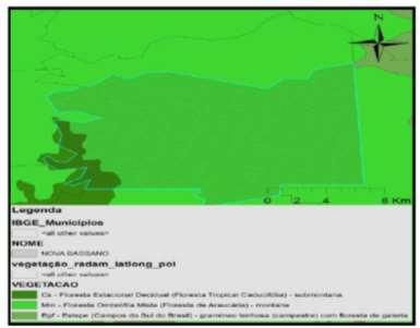 Figura 82: Perfil da vegetação do município de Nova Bassano. Fonte: FEPAM, 2012. 3.