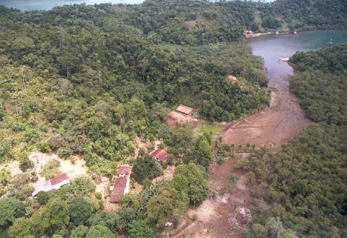 Foto N-4 Aspecto do Saco do Fundão, onde predomina a sedimentação de pelitos (lama).